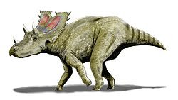 Agujaceratops BW.jpg