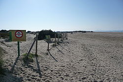 Límite de la playa con el paraje de los Toruños