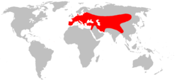 Mapa de distribución mundial de M. foina