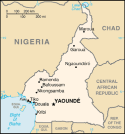 Cameroon-CIA WFB Map.png