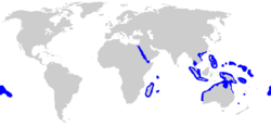 Distribución del tiburón gris