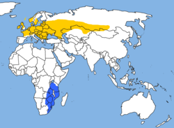 Zona de cría (amarillo) e invernada (azul)