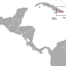 Distribución del almiquí de Cuba