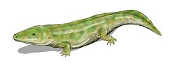 Eryosuchus BW.jpg