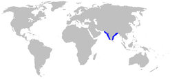 Distribución del tiburón del Ganges