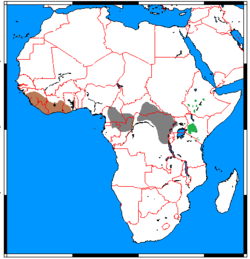 Área de distribución de: * H. m. meinertzhageni (verde). * H. m. rimator (gris). * H. m. ivoriensis (marrón)
