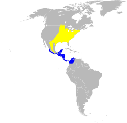 En azul la zona de invernada y en amarillo la zona de cría.