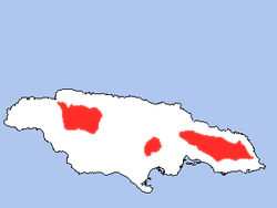 Jamaica Trupial areal.png