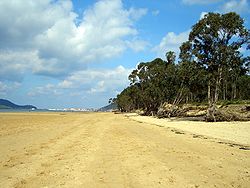 Vista de la playa de El Regatón (Playa)