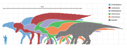 Largestornithopods scale.png