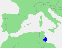 Localización del golfo de Gabes.
