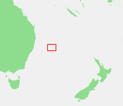 H. canterburyana es endémica de isla de Lord Howe