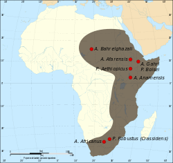 Mapa de situación de diversos yacimientos de Australopithecus, entre ellos Australopithecus garhi.