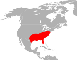 Mapa distribución lobo rojo (canis rufus).png