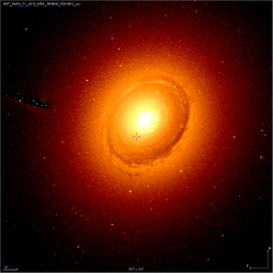 NGC383-3C31-hst-606.png