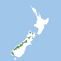 Distribución dentro de la Isla Sur