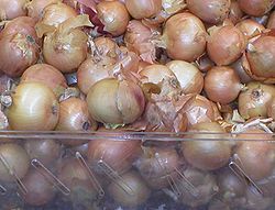 Onions 700x530.jpg