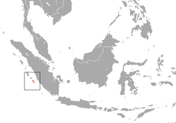 Distribución del macaco de la isla Pagai