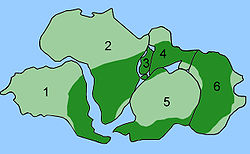 Área de la gimnosperma fósil Glossopteris (verde oscuro) hallada en todos lo continentes del sur, dando fuerte evidencia de que los continentes fueron una vez amalgamados en el supercontinente Gondwana