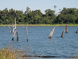 Río Yguasu Paraguay.jpg