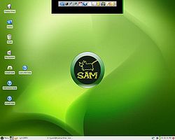 SAM Linux Desktop.jpg