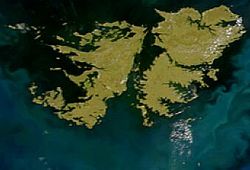 Satellite image of Falkland Islands in November 1999.jpg