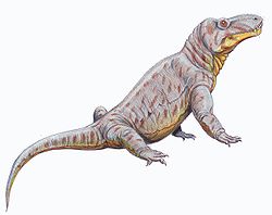 Titanosuchus12DB.jpg
