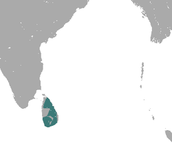 Distribución del macaco de Sri Lanka