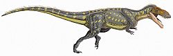 Torvosaurus tanner DBi.jpg