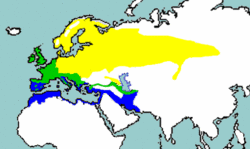 Área de cría – amarilloÁrea invernal – azulPresente todo el año – verde