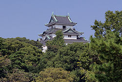 Wakayama castle01s3500.jpg