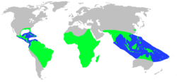 Distribución geográfica de los Crocodilios