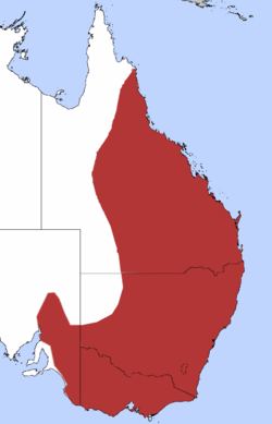 Distribution of the Yellow Thornbill