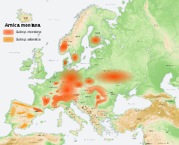 Distribución de Arnica montana
