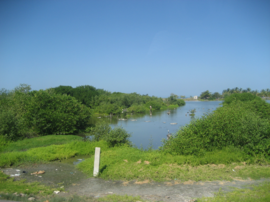 Ciénaga Grande de Santa Marta vista desde la Vía Parque