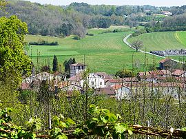 Quinsac (Dordogne) vue générale.JPG