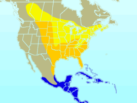 Distribución en Norte y Centroamérica. Amarillo: Época de anidación Naranja: Todo el año Azul: Invierno