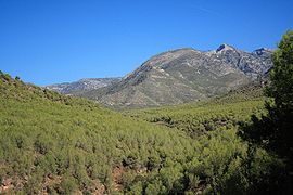 Vista de la cara sur de Sierra Almijara