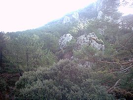 Vista del monte por la entrada de la Sierra de la Alfaguara