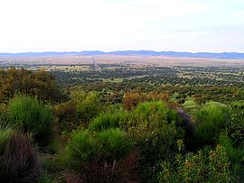 Vista del Valle de Alcudia.jpg