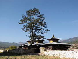 Wangdicholing Palace Bhutan.jpg