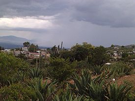 Cerritos (Hidalgo)