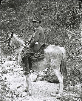 Henry C Cowles in the Santa Catalina Mountains Arizona 1913.jpg