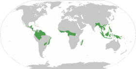 Distribución geográfica de las selvas umbrófilas