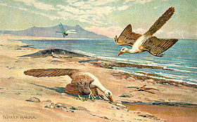 Archaeopteryx by Heinrich Harder, from around 1916