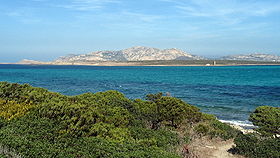 Asinara-Island01.jpg