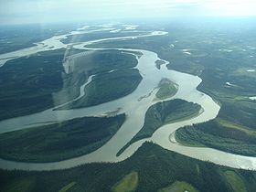 Flying over the meanders of the mighty Yukon to Arctic Village.jpg