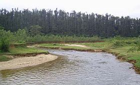 Hemavati river at Banakal.jpg