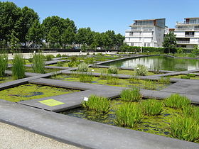 Jardin botanique de Bordeaux 5.jpg