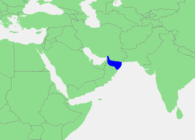Localización del golfo de Omán